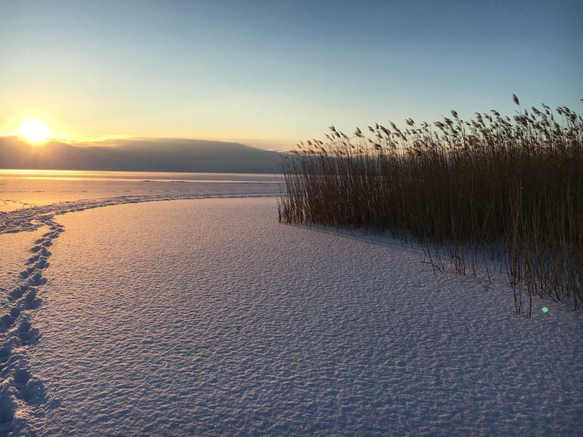 Bootshaus Am See نيوسيدل آم سي المظهر الخارجي الصورة